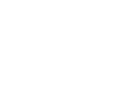فروشگاه لاستیک و تایر الماس تایر 264 tire_logo_2 copy