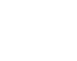 فروشگاه لاستیک و تایر الماس تایر 265 tire_logo_3 copy