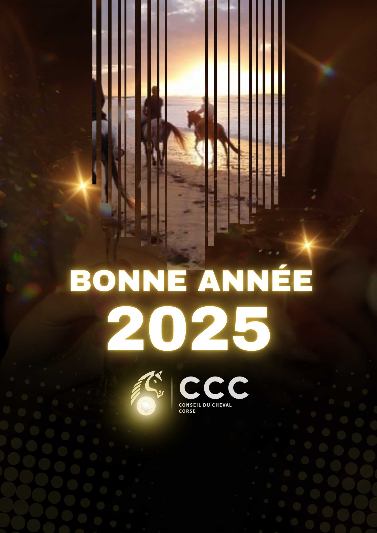 Meilleurs voeux pour 2025