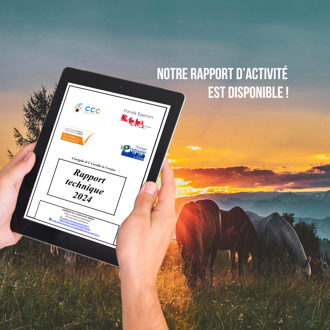 Le rapport d'activité du Conseil du cheval en Corse est disponible